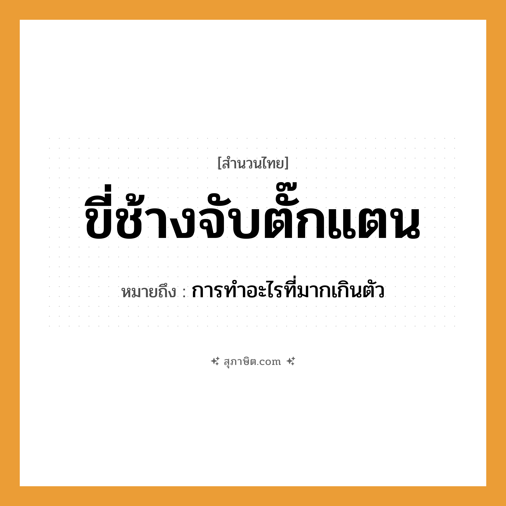 คำสุภาษิต: ขี่ช้างจับตั๊กแตน หมายถึง?, หมายถึง การทำอะไรที่มากเกินตัว