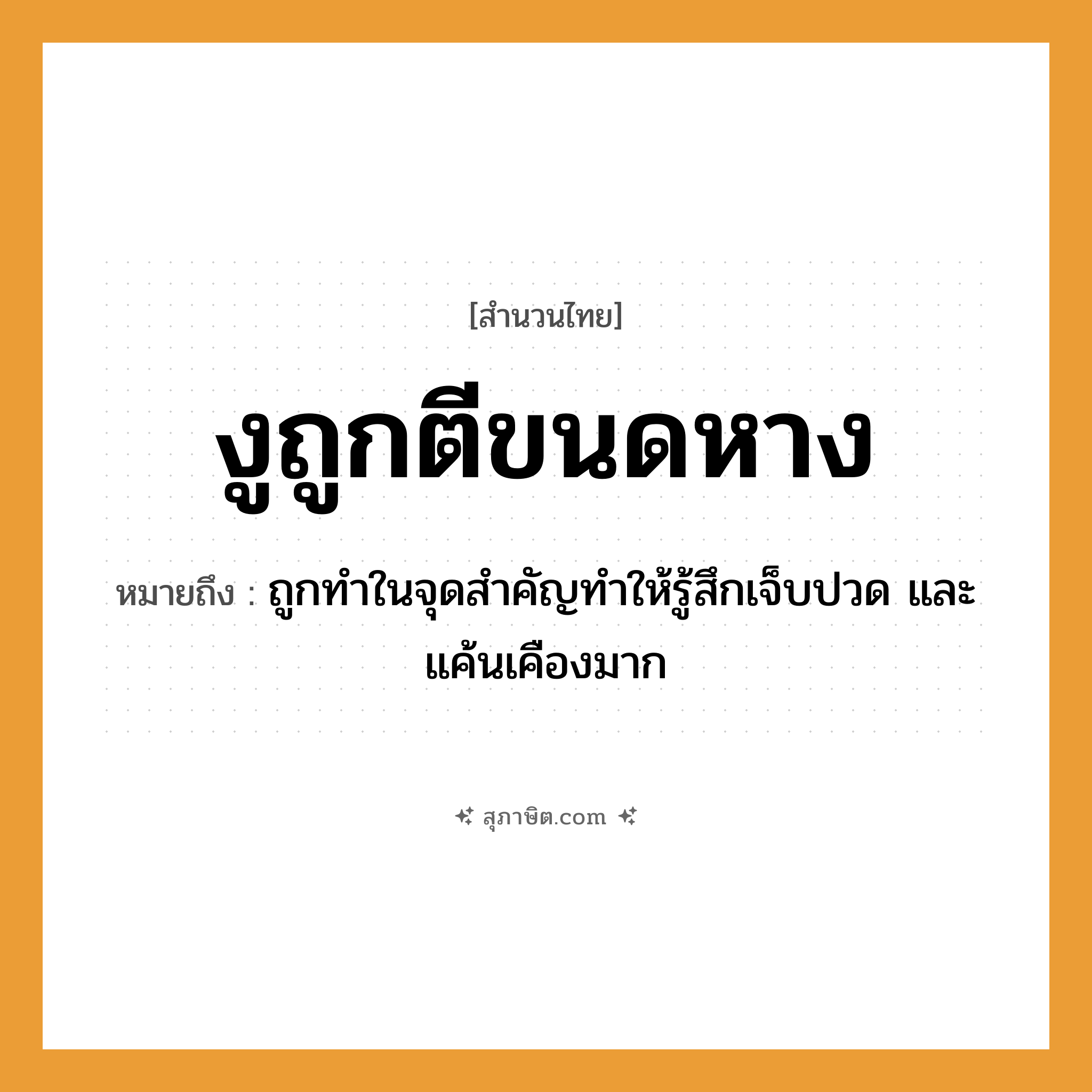 คำสุภาษิต: งูถูกตีขนดหาง หมายถึง?, หมายถึง ถูกทำในจุดสำคัญทำให้รู้สึกเจ็บปวด และแค้นเคืองมาก อวัยวะ หาง คำกริยา ตี สัตว์ งู