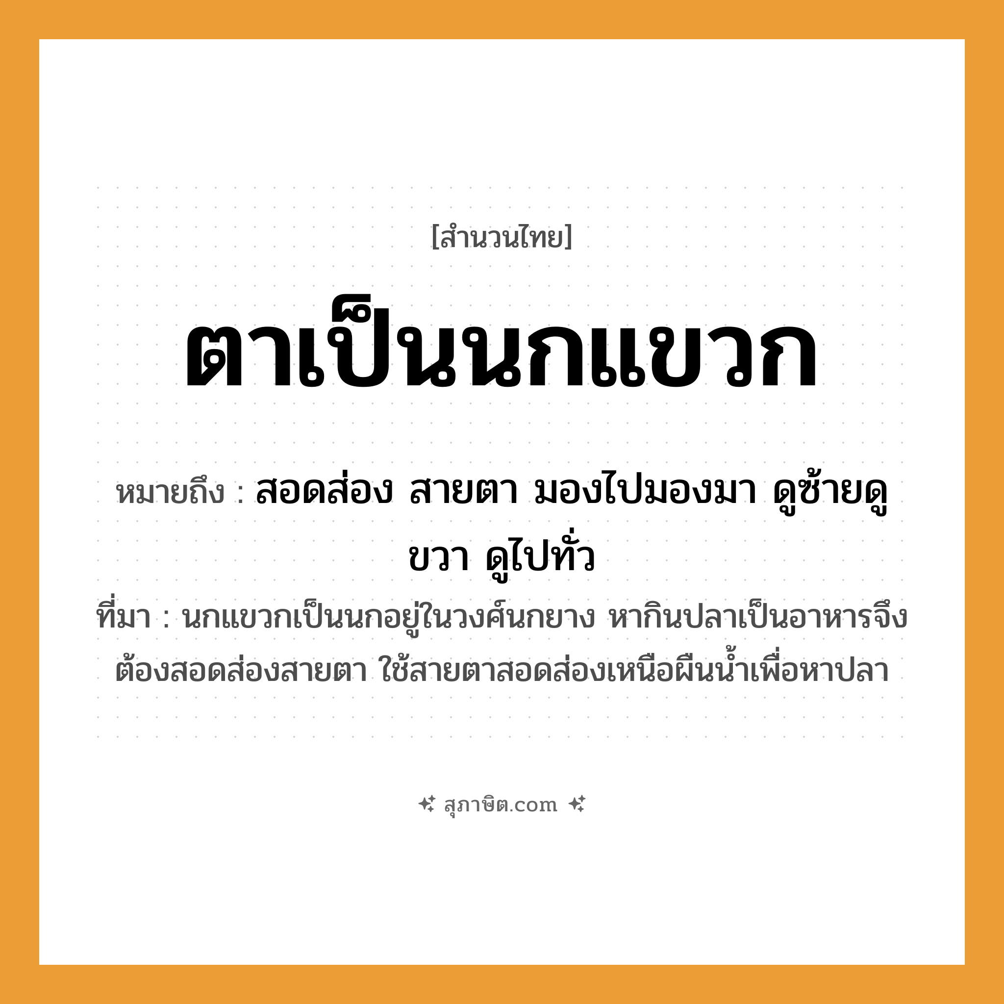 คำสุภาษิต: ตาเป็นนกแขวก หมายถึง?, หมายถึง สอดส่อง สายตา มองไปมองมา ดูซ้ายดูขวา ดูไปทั่ว ที่มา นกแขวกเป็นนกอยู่ในวงศ์นกยาง หากินปลาเป็นอาหารจึงต้องสอดส่องสายตา ใช้สายตาสอดส่องเหนือผืนน้ำเพื่อหาปลา อวัยวะ ตา สัตว์ นก