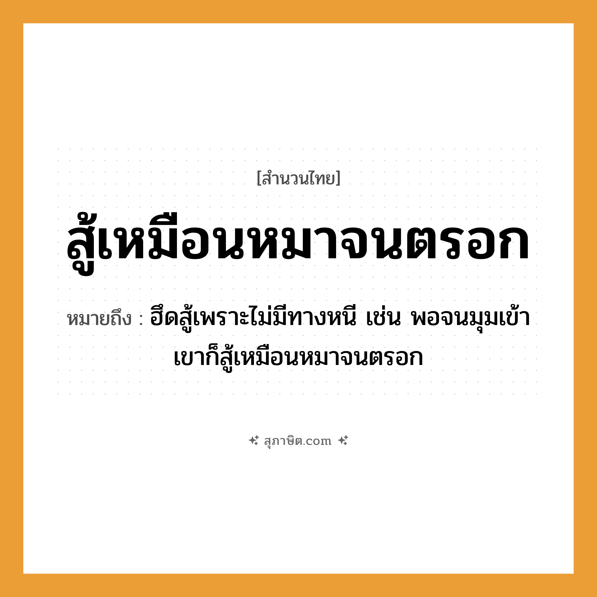 คำสุภาษิต: สู้เหมือนหมาจนตรอก หมายถึง?, หมายถึง ฮึดสู้เพราะไม่มีทางหนี เช่น พอจนมุมเข้า เขาก็สู้เหมือนหมาจนตรอก คำกริยา สู้