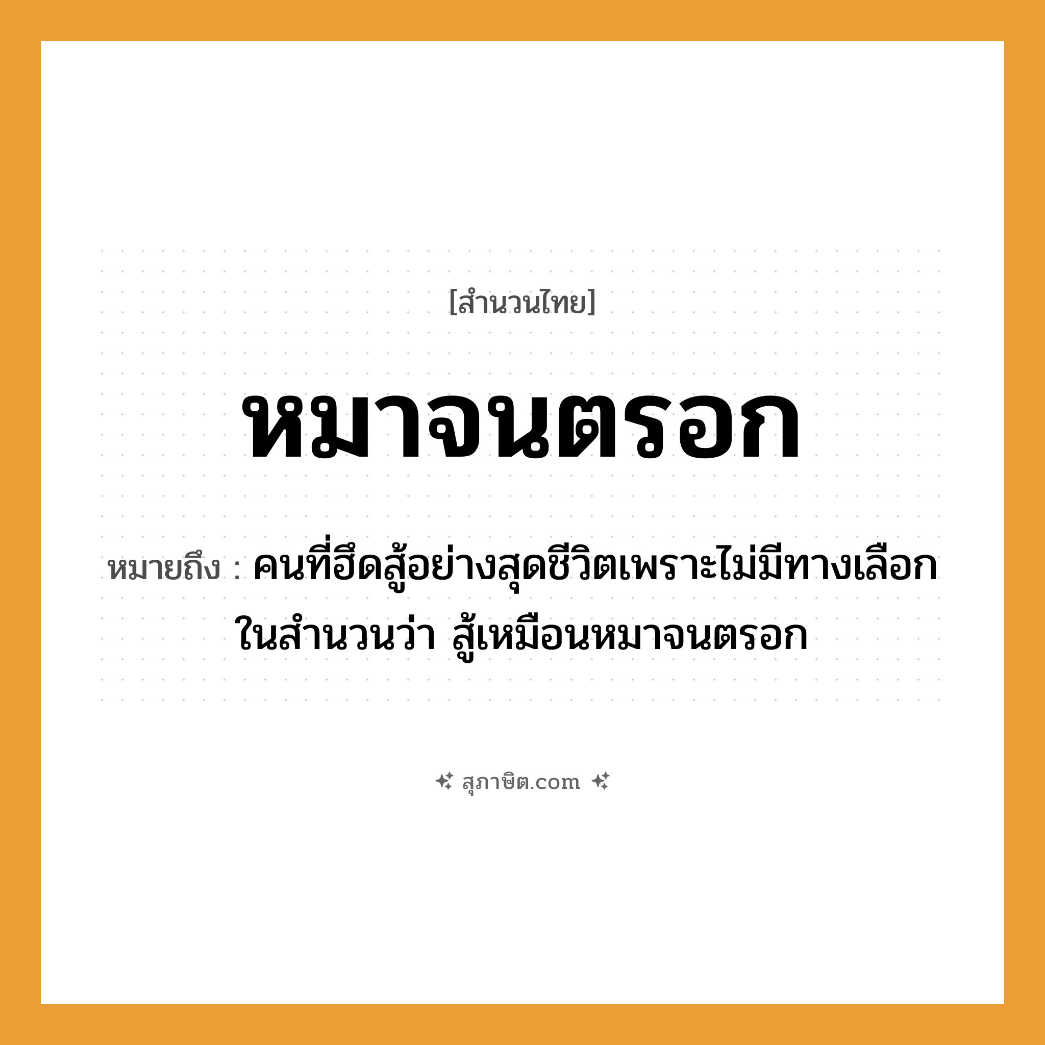 คำสุภาษิต: หมาจนตรอก หมายถึง?, หมายถึง คนที่ฮึดสู้อย่างสุดชีวิตเพราะไม่มีทางเลือก หมายเหตุ ในสำนวนว่า สู้เหมือนหมาจนตรอก คำนาม คน คำกริยา สู้