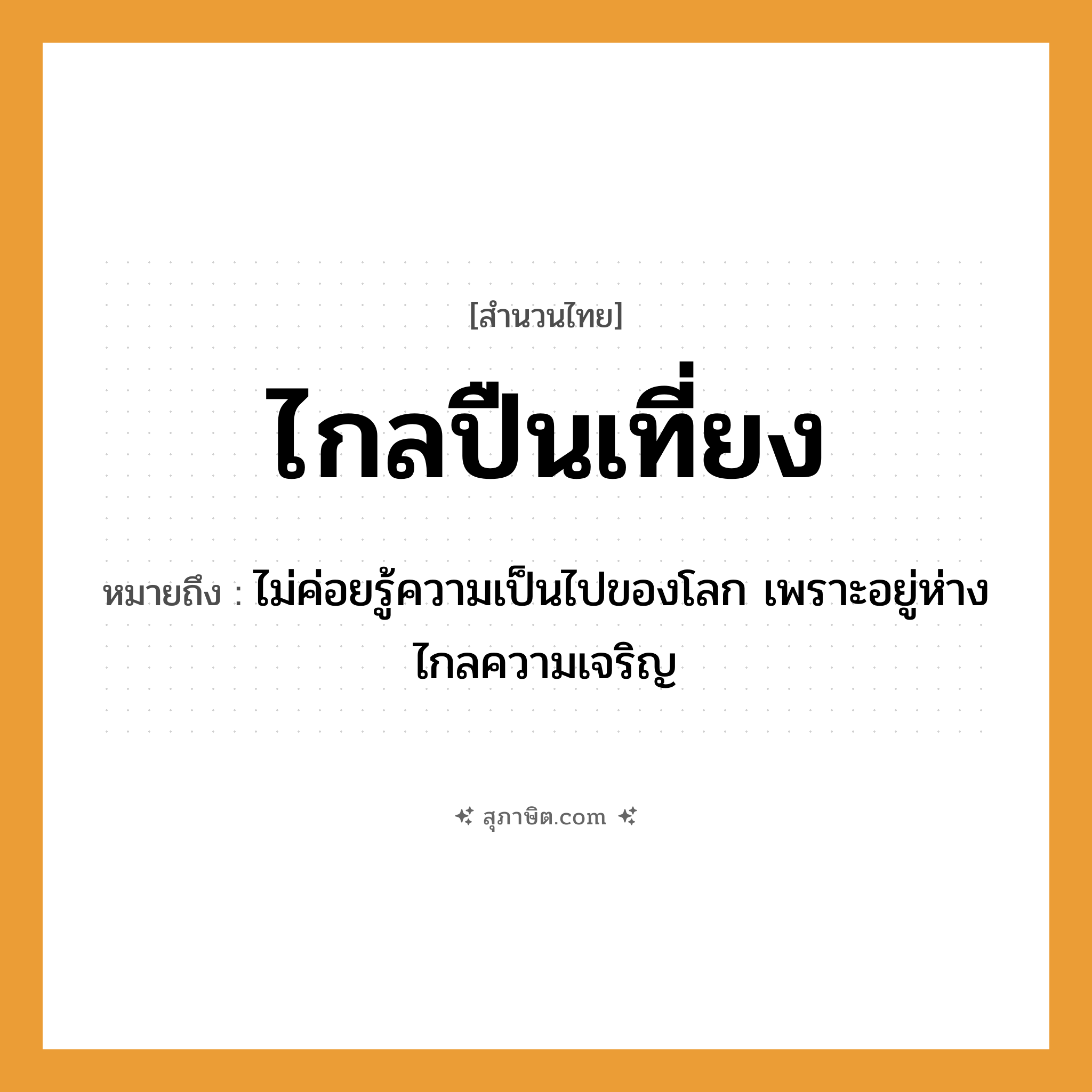 คำสุภาษิต: ไกลปืนเที่ยง หมายถึง?, หมายถึง ไม่ค่อยรู้ความเป็นไปของโลก เพราะอยู่ห่างไกลความเจริญ สิ่งของ ปืน คำคุณศัพท์ ไกล, เที่ยง หมวด สำนวนไทย