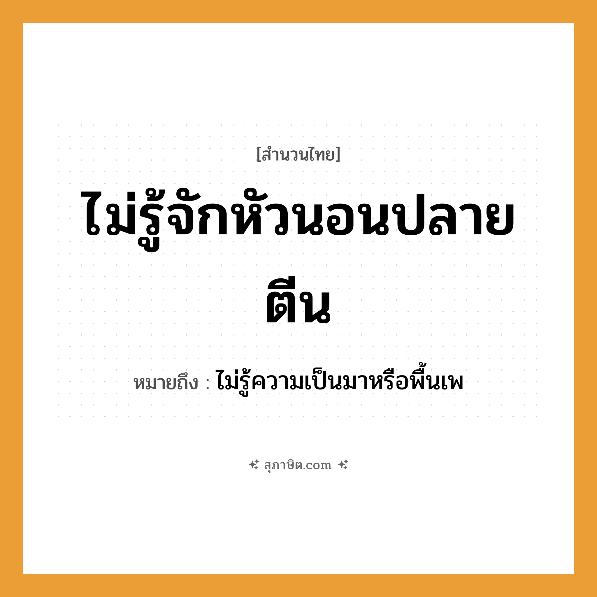คำสุภาษิต: ไม่รู้จักหัวนอนปลายตีน หมายถึง?, หมายถึง ไม่รู้ความเป็นมาหรือพื้นเพ