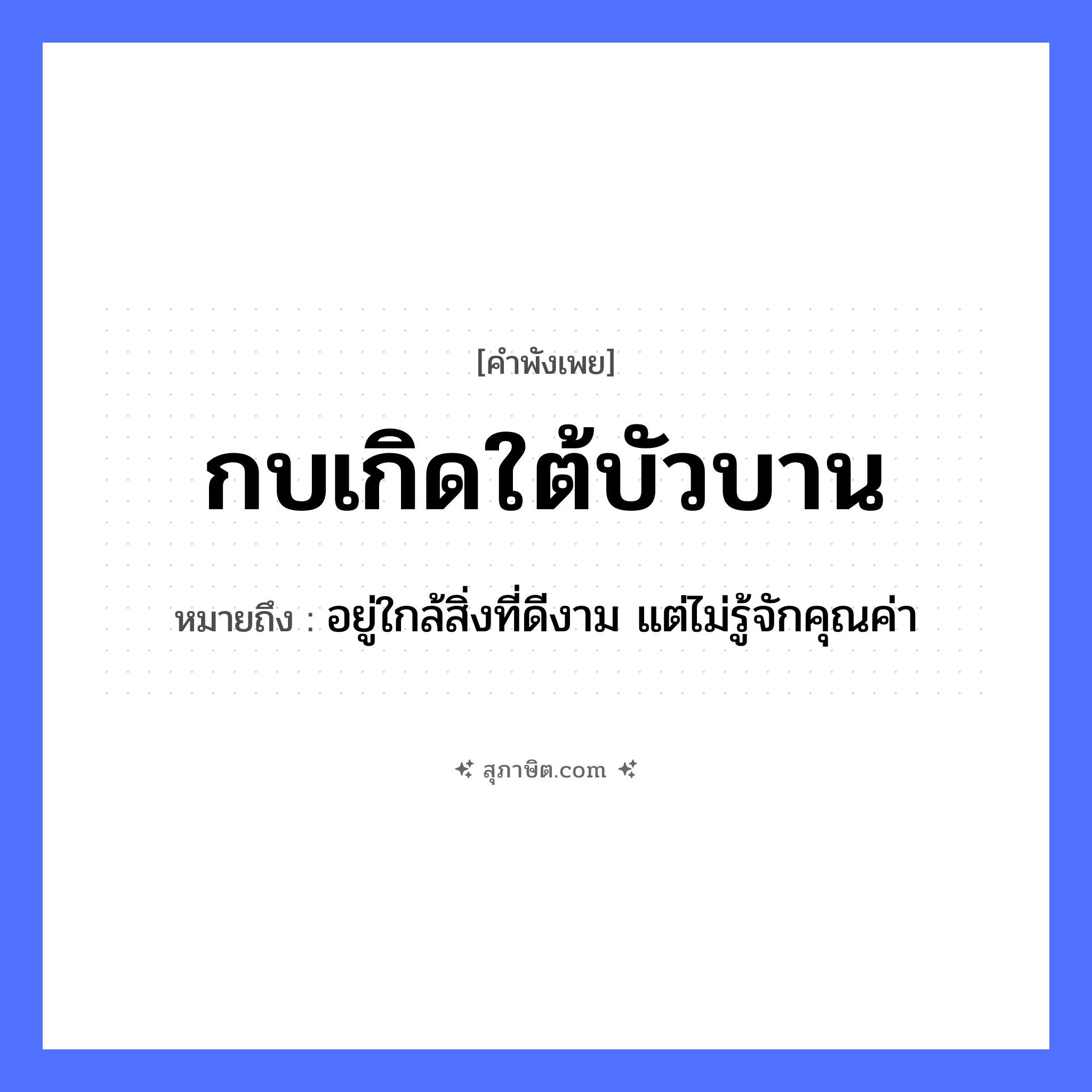 คำสุภาษิต: กบเกิดใต้บัวบาน หมายถึง?, หมายถึง อยู่ใกล้สิ่งที่ดีงาม แต่ไม่รู้จักคุณค่า สัตว์ กบ คำกริยา เกิด ธรรมชาติ บัว, ใต้บัวบาน หมวด คำพังเพย