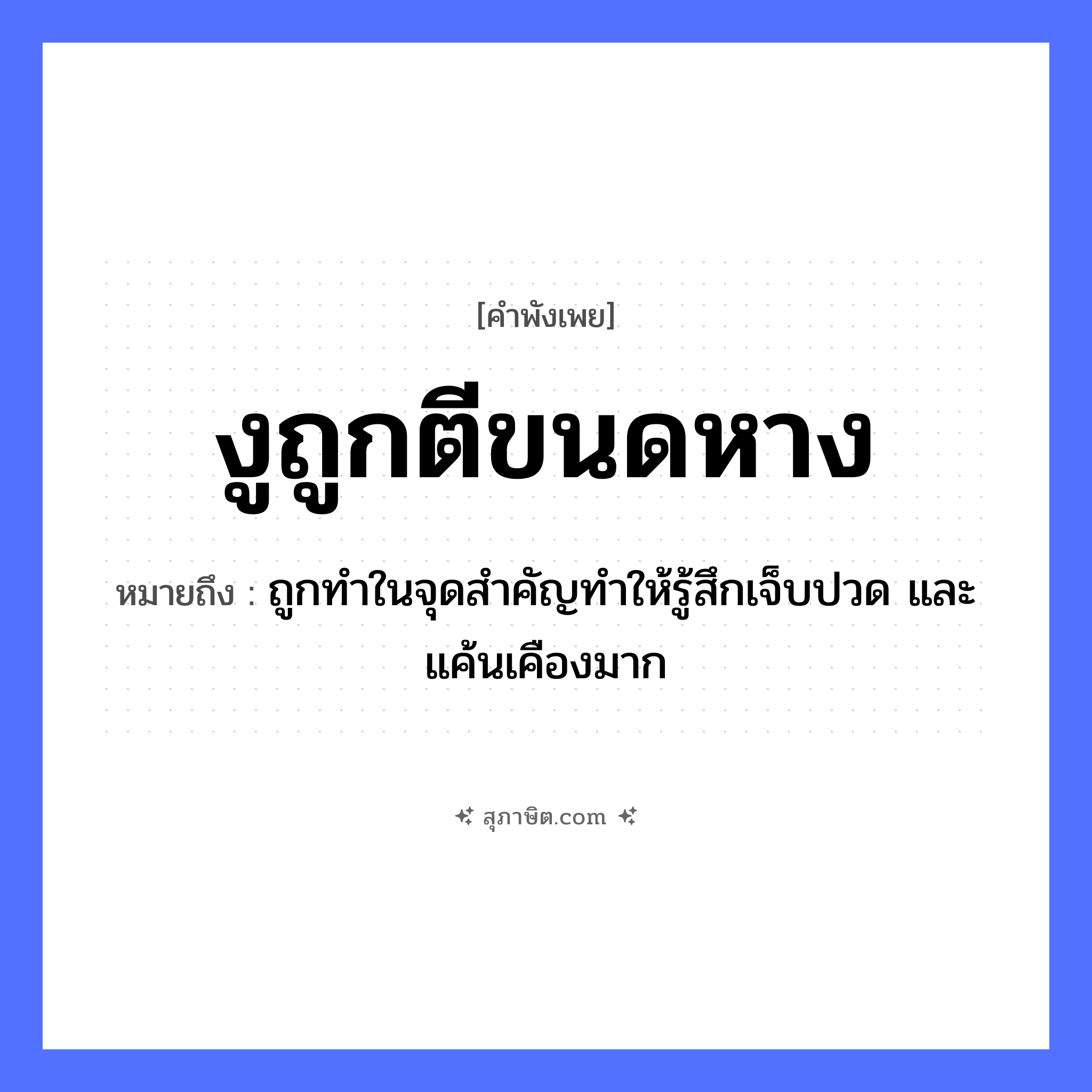 คำสุภาษิต: งูถูกตีขนดหาง หมายถึง?, หมายถึง ถูกทำในจุดสำคัญทำให้รู้สึกเจ็บปวด และแค้นเคืองมาก คำกริยา ตี, ขนด สัตว์ งู อวัยวะ หาง หมวด คำพังเพย