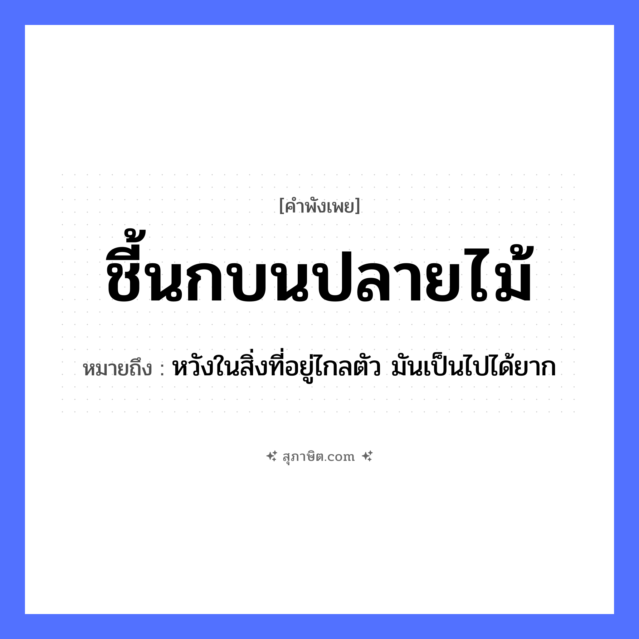 คำสุภาษิต: ชี้นกบนปลายไม้ หมายถึง?, หมายถึง หวังในสิ่งที่อยู่ไกลตัว มันเป็นไปได้ยาก สัตว์ นก คำกริยา ชี้ ธรรมชาติ ปลายไม้ หมวด คำพังเพย