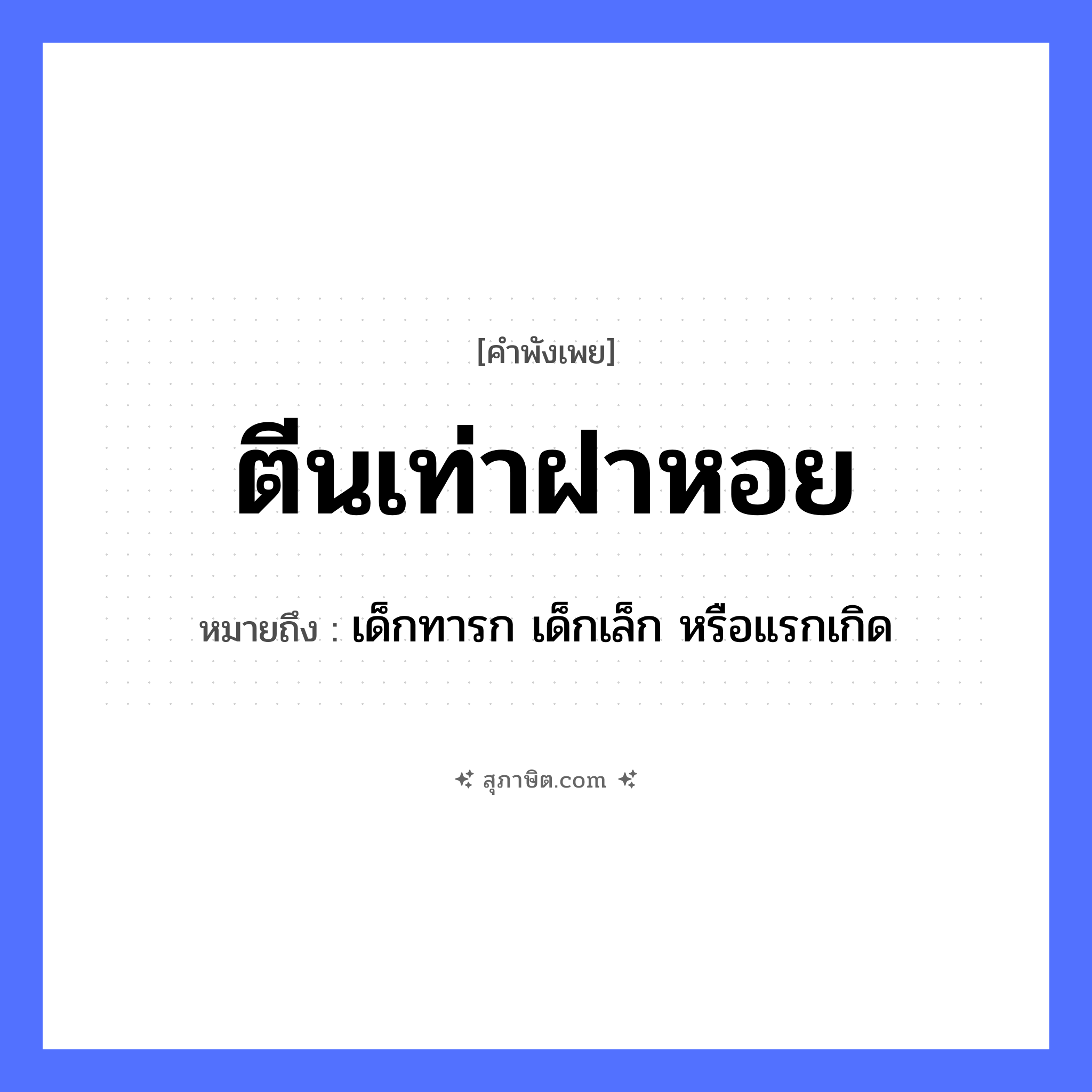 คำสุภาษิต: ตีนเท่าฝาหอย หมายถึง?, หมายถึง เด็กทารก เด็กเล็ก หรือแรกเกิด สัตว์ หอย อวัยวะ ตีน ธรรมชาติ ฝาหอย หมวด คำพังเพย