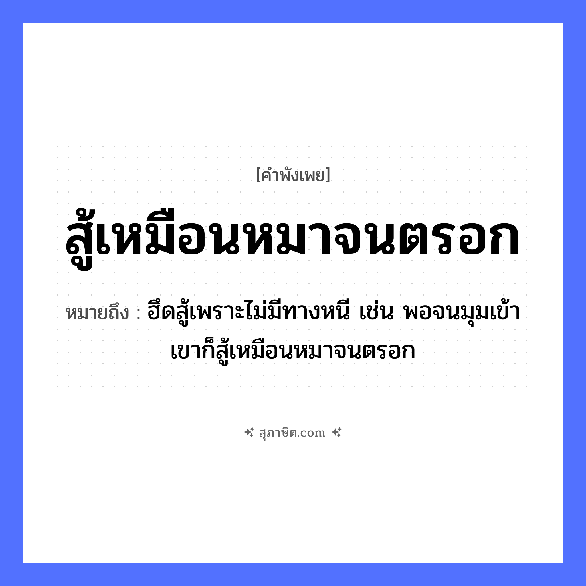 คำสุภาษิต: สู้เหมือนหมาจนตรอก หมายถึง?, หมายถึง ฮึดสู้เพราะไม่มีทางหนี เช่น พอจนมุมเข้า เขาก็สู้เหมือนหมาจนตรอก สัตว์ หมา คำกริยา สู้, จน ธรรมชาติ ตรอก หมวด คำพังเพย