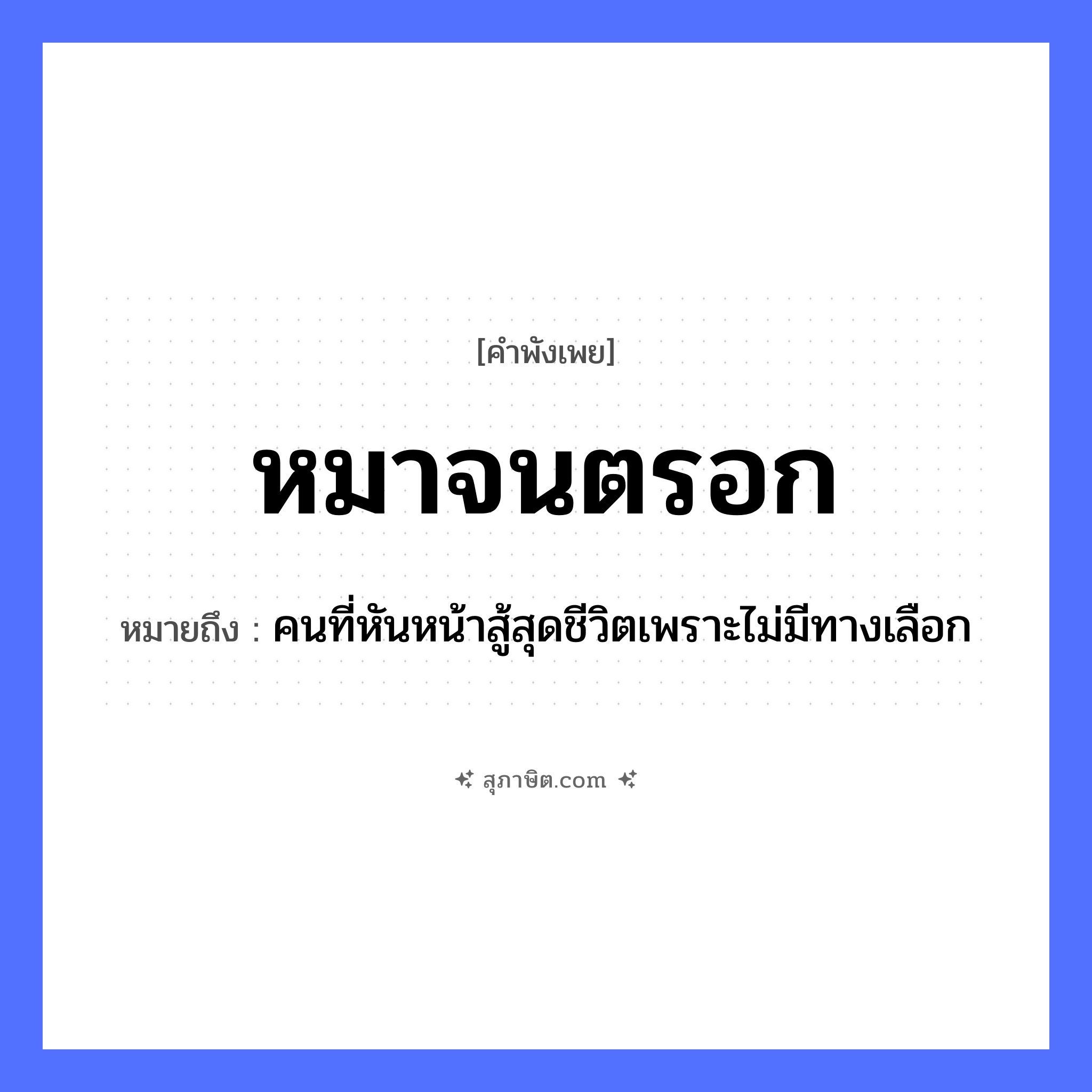 คำสุภาษิต: หมาจนตรอก หมายถึง?, หมายถึง คนที่หันหน้าสู้สุดชีวิตเพราะไม่มีทางเลือก คำนาม คน สัตว์ หมา อวัยวะ หน้า คำกริยา สู้
