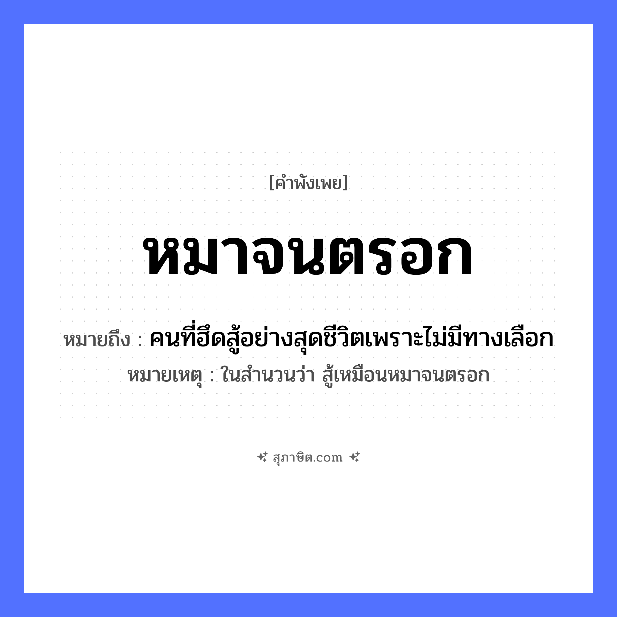 คำสุภาษิต: หมาจนตรอก หมายถึง?, หมายถึง คนที่ฮึดสู้อย่างสุดชีวิตเพราะไม่มีทางเลือก หมายเหตุ ในสำนวนว่า สู้เหมือนหมาจนตรอก สัตว์ หมา สถานที่ ตรอก ความรู้สึก จนมุม, สิ้นหวัง หมวด คำพังเพย