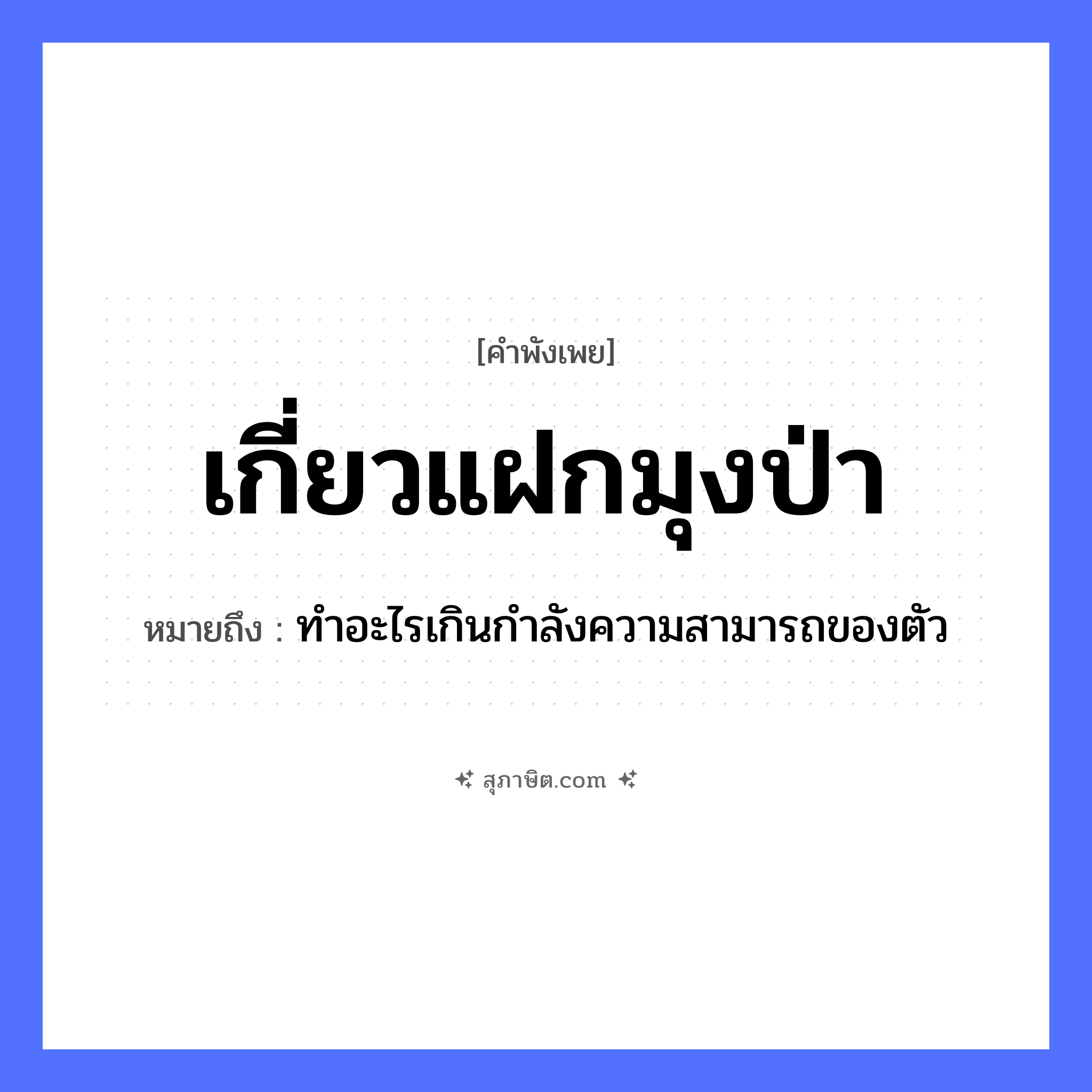 คำสุภาษิต: เกี่ยวแฝกมุงป่า หมายถึง?, หมายถึง ทําอะไรเกินกําลังความสามารถของตัว พืช แฝก คำกริยา เกี่ยว, มุง ธรรมชาติ ป่า หมวด คำพังเพย