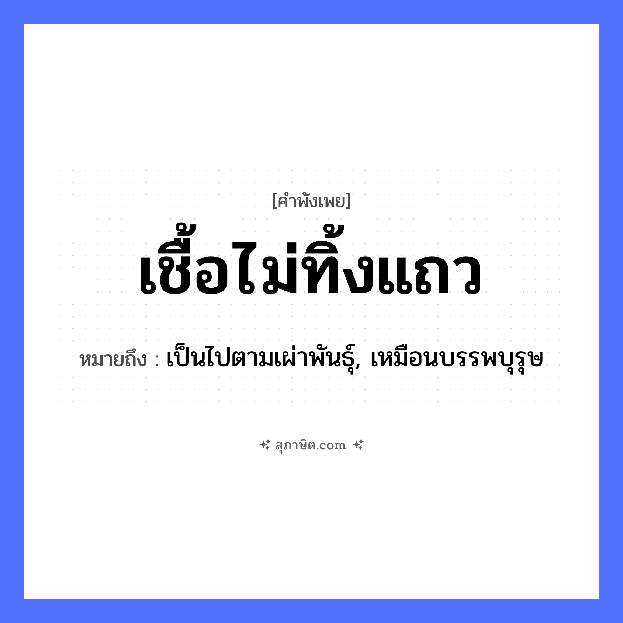 คำสุภาษิต: เชื้อไม่ทิ้งแถว หมายถึง?, หมายถึง เป็นไปตามเผ่าพันธุ์, เหมือนบรรพบุรุษ คำนาม เชื้อ, แถว เครือญาติ สายตระกูล, พันธุกรรม, บรรพบุรุษ หมวด คำพังเพย