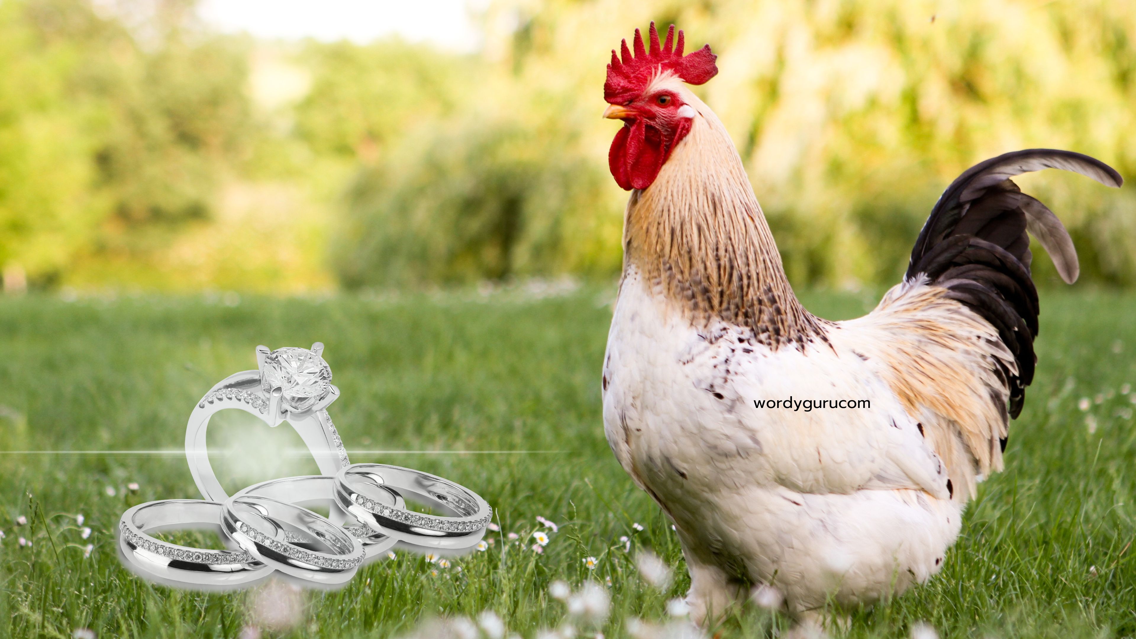 ไก่ได้พลอย